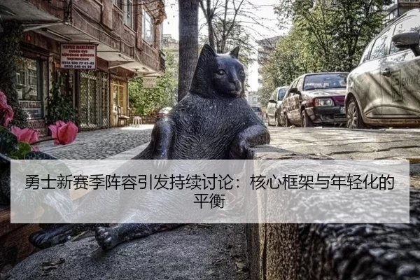 勇士新赛季阵容引发持续讨论：核心框架与年轻化的平衡